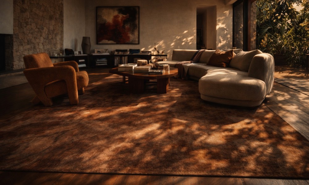 Comment Nettoyer un Tapis : 10 Méthodes Simples et Efficaces